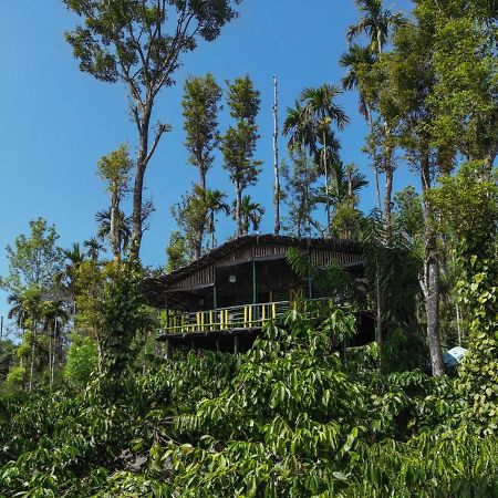 The Mountain Tree Home Wayanad Exterior photo