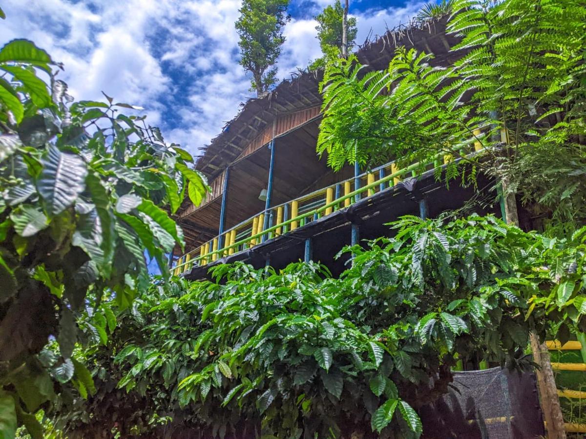 The Mountain Tree Home Wayanad Exterior photo
